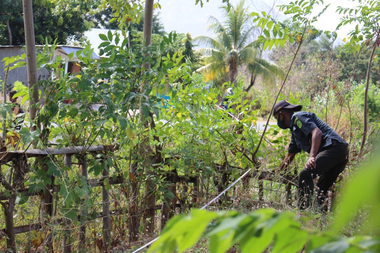 WhatsApp Image 2020 09 03 at 10.37.52